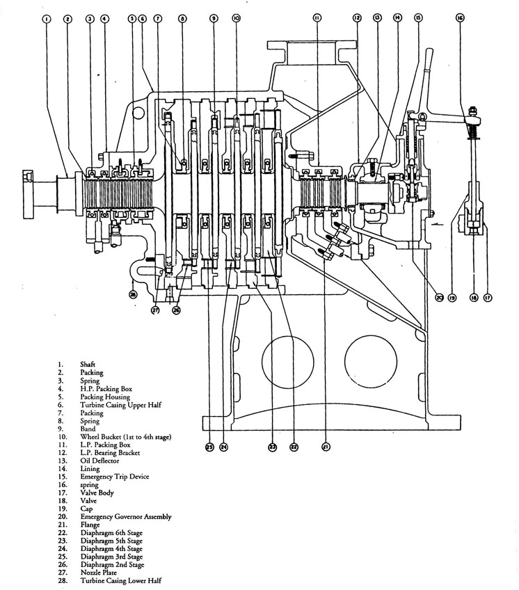 Turbogenerator Rotor