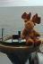 moose_ picture