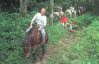 ride_ picture