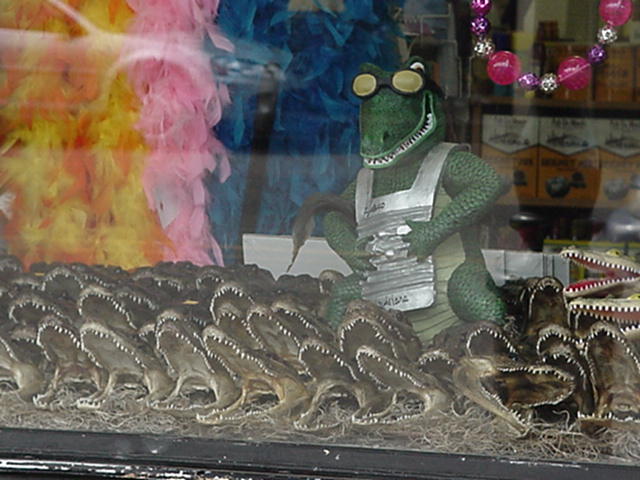 alligators.jpg: Window shopping in New Orleans. You can't find these "treasures" in downtown Buzzards Bay.