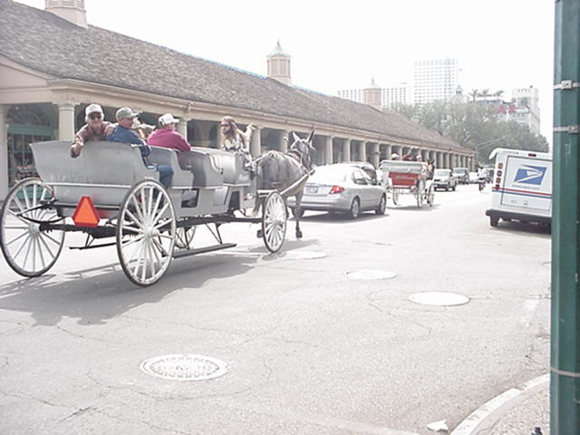  Horse &carrige NOLA.: Typical street scene in New Orleans. Cafe du Monde is at the far end of the building in the background.